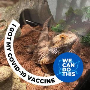 Meet your Posher, Jerry